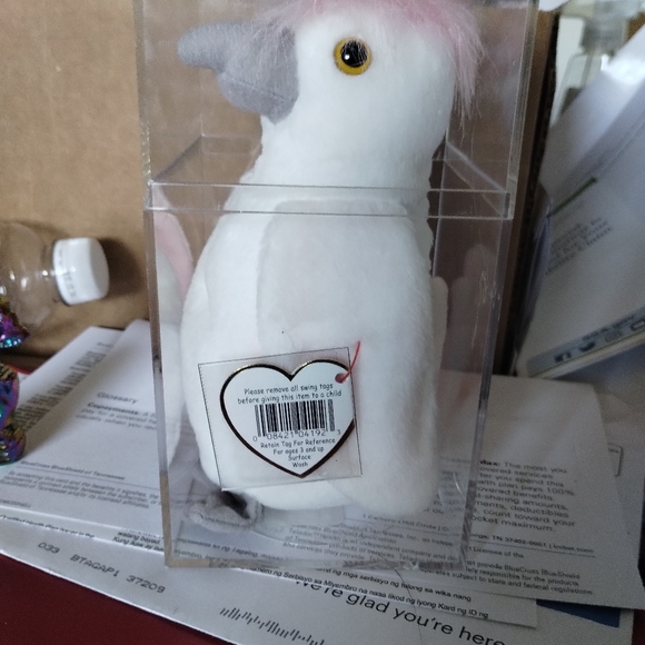 Kuku - Picture 2 of 4